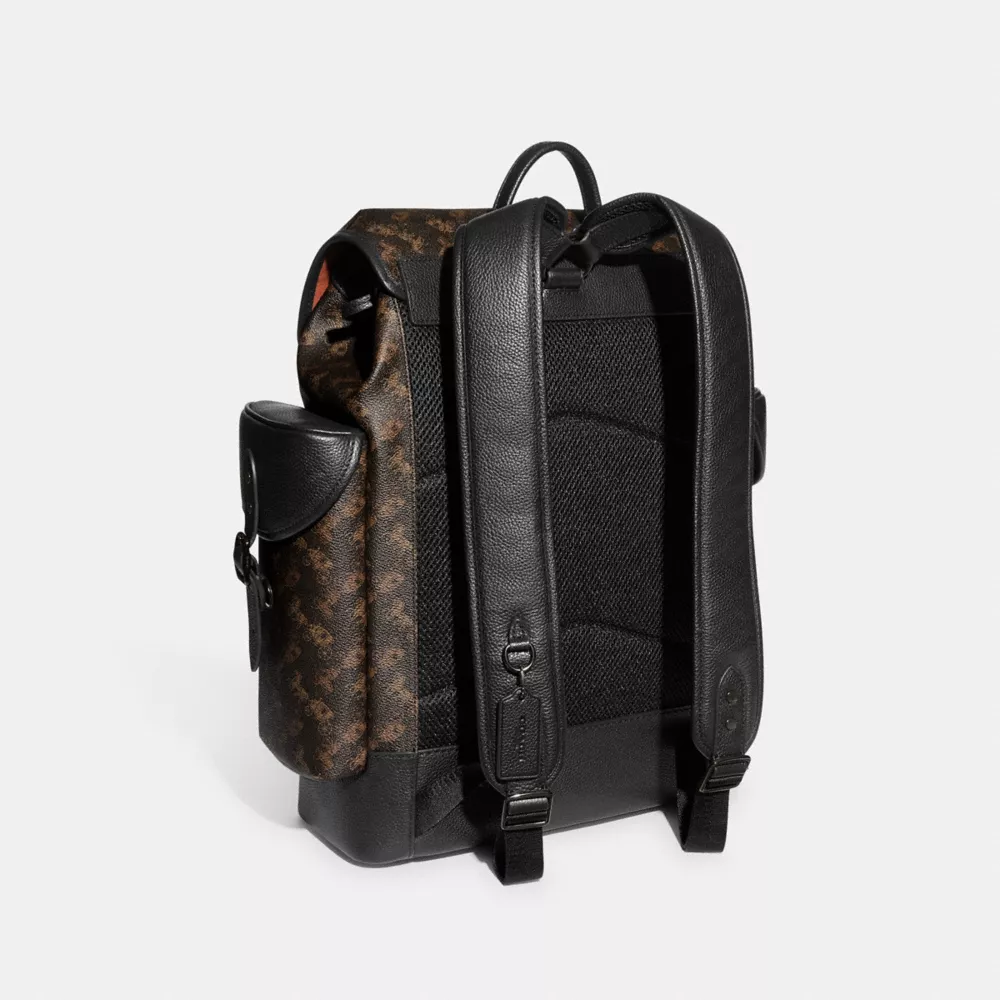 HITCH BACKPACK WITH HORSE AND CARRIAGE PRINT